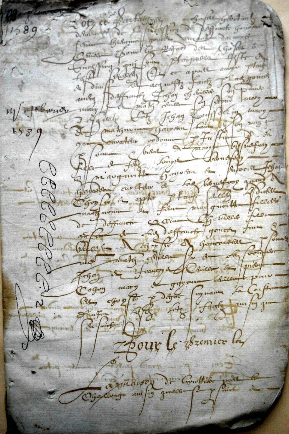 Thieurine_1589 (1).JPG